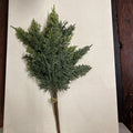 CEDAR PICK
