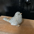 SILVER SHIMMER BIRD