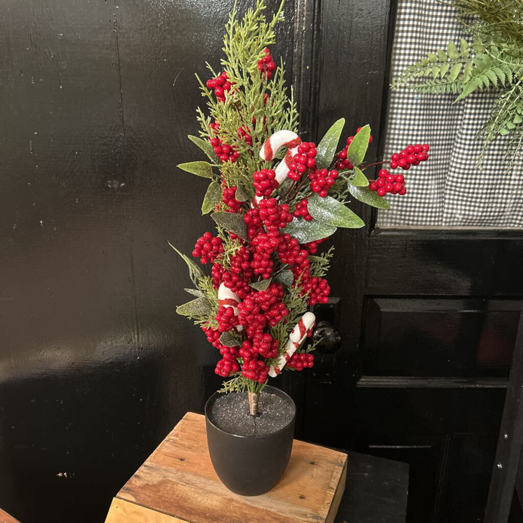 CANDY CANE/BERRY TREE