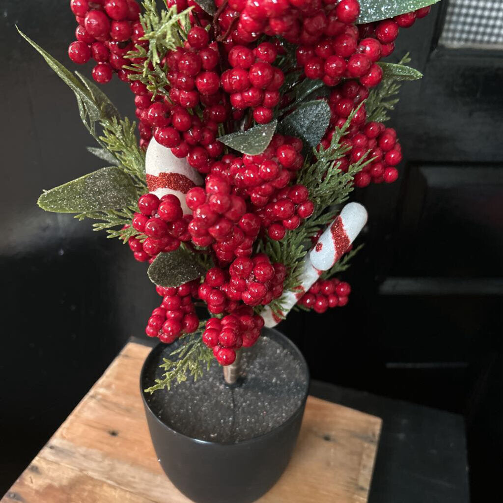 CANDY CANE/BERRY TREE