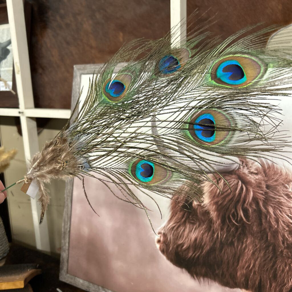 PEACOCK PICK