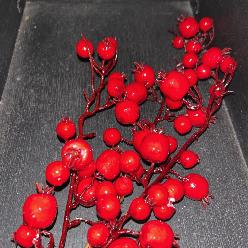 RED BERRY PICK 19"