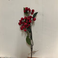 RED BERRY STEM 27"