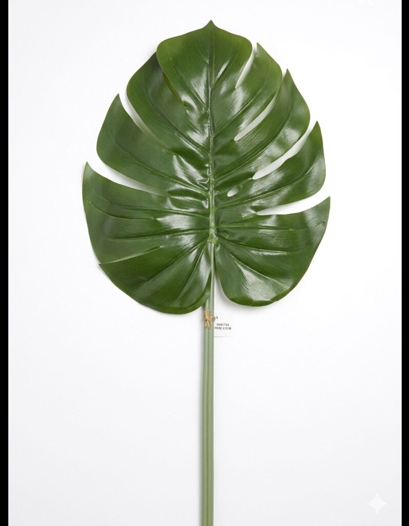 DARK GREEN LEAF