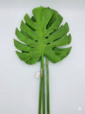 LIGHT GREEN LEAF