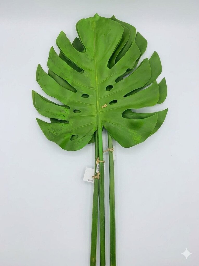 LIGHT GREEN LEAF