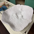 CORAL DISH