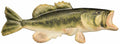 GREEN BASS METAL