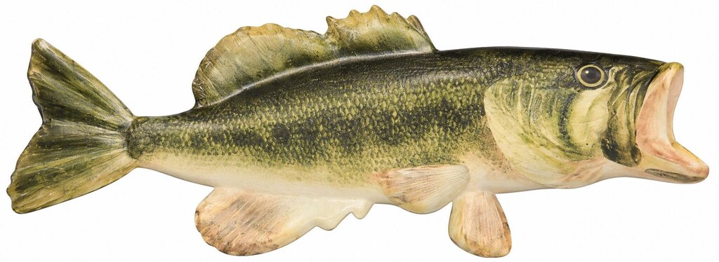 GREEN BASS METAL