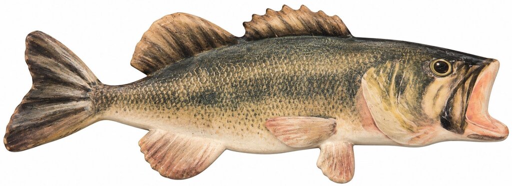 GREEN/TAN BASS METAL