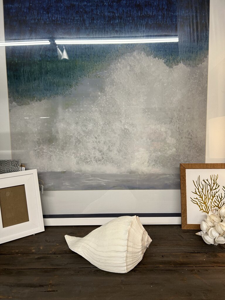 LARGE SHELL DECOR