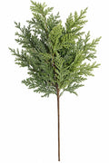 CEDAR SPRAY 23"