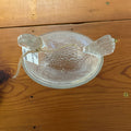 CLEAR HEN ON NEST