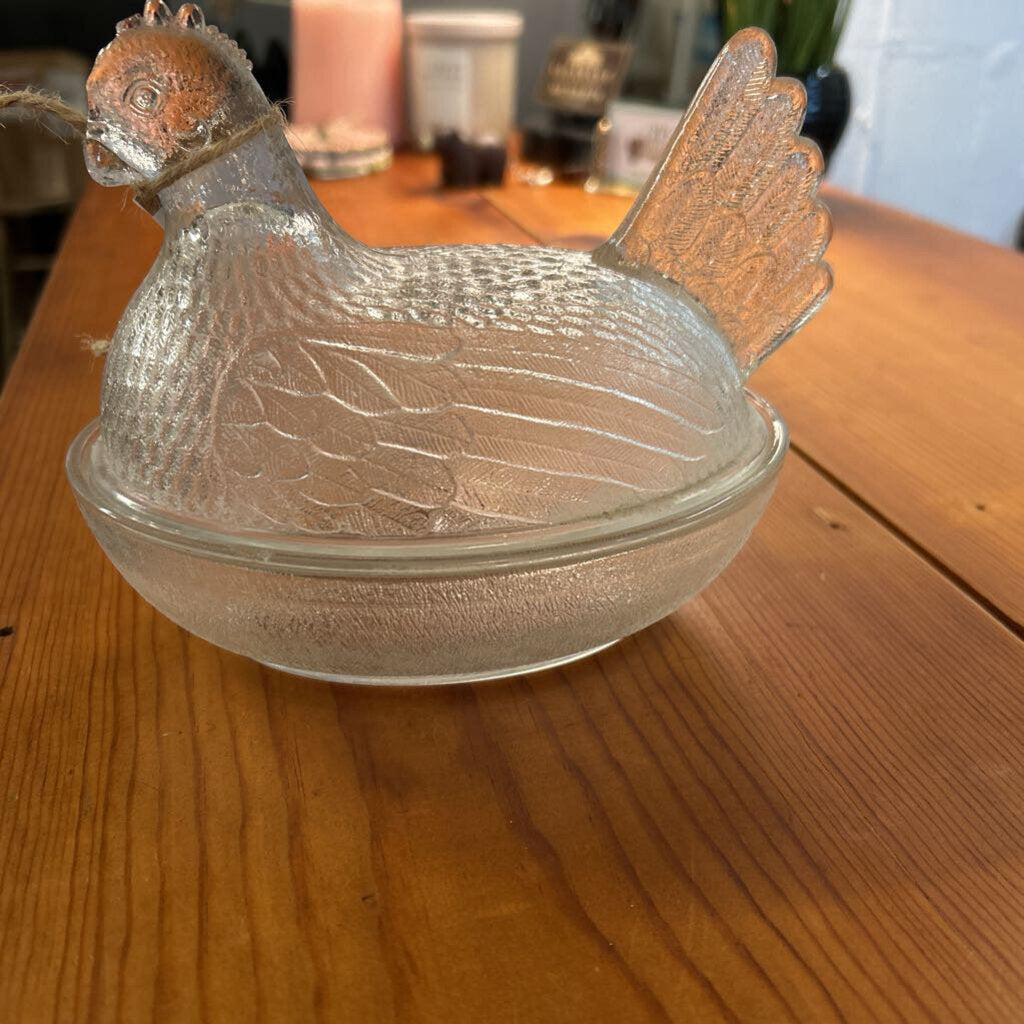 CLEAR HEN ON NEST