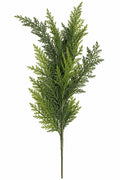 CYPRESS SPRAY 30"