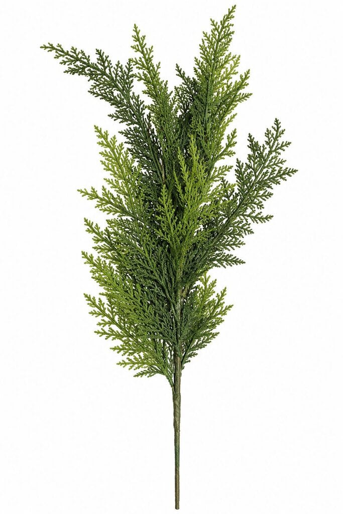CYPRESS SPRAY 30"