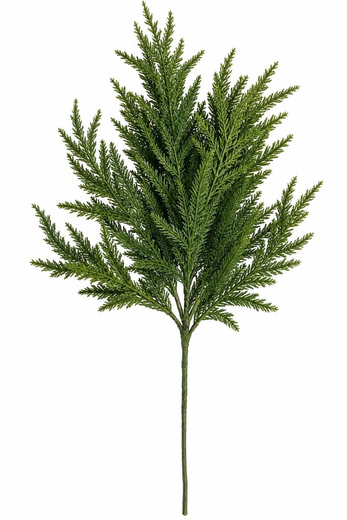 NORFOLK PINE PICK 27"