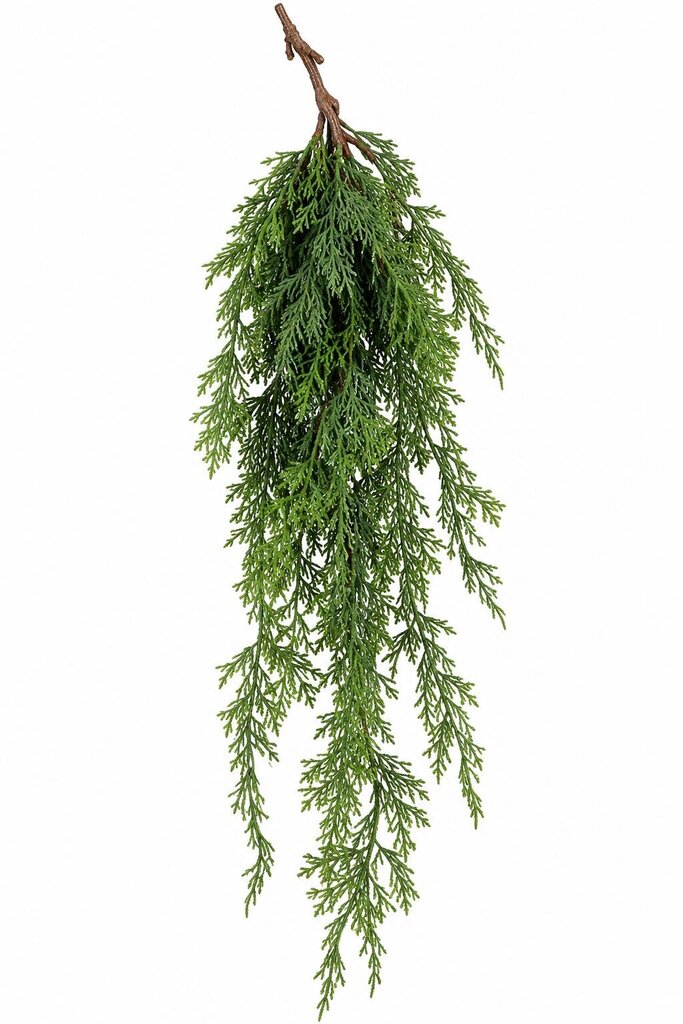 CEDAR HANGING BUSH 29"