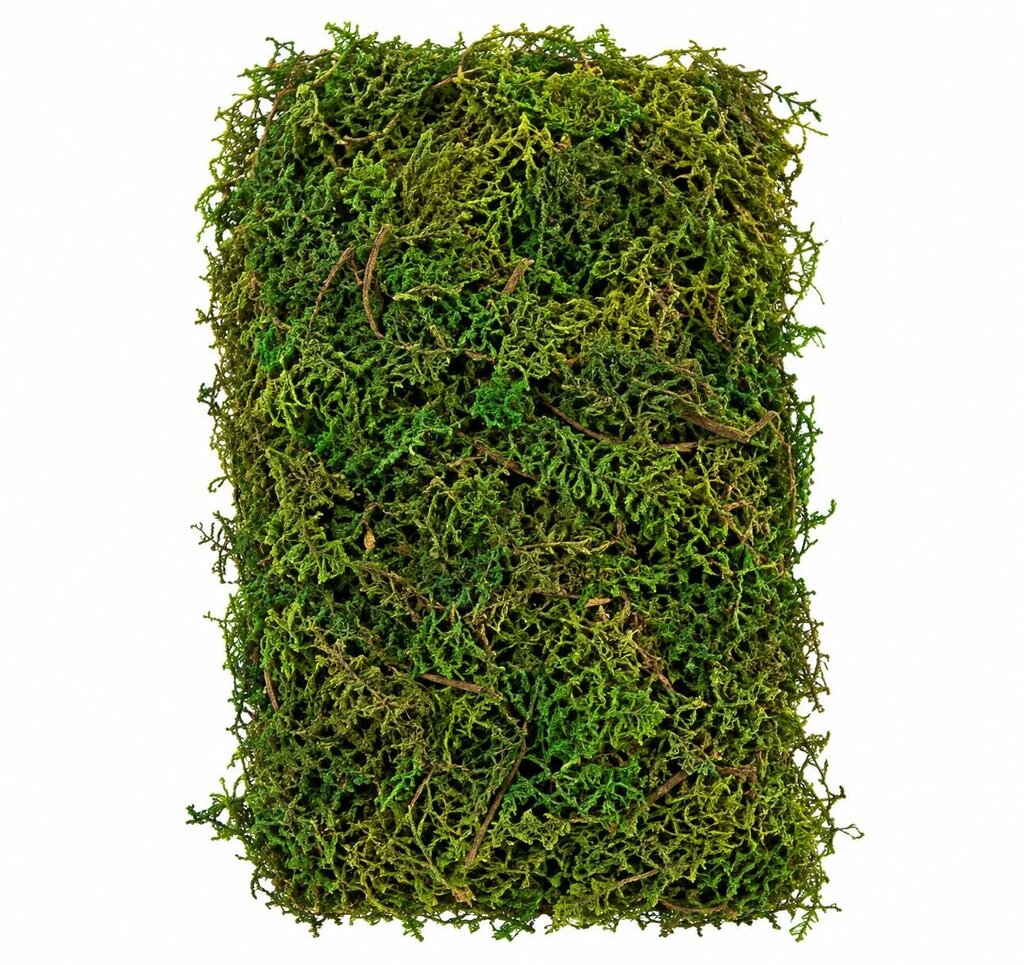 MOSS 3.5OZ