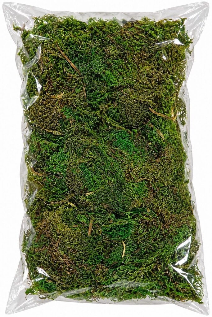 MOSS 3.5OZ