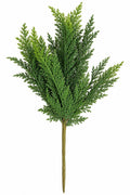 CEDAR BUSH 19"