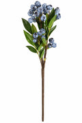 BLUEBERRY PICK 16.5"