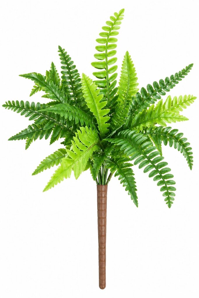 FERN BUSH 12"