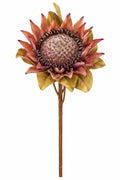 MAUVE KING PROTEA STEM 27"