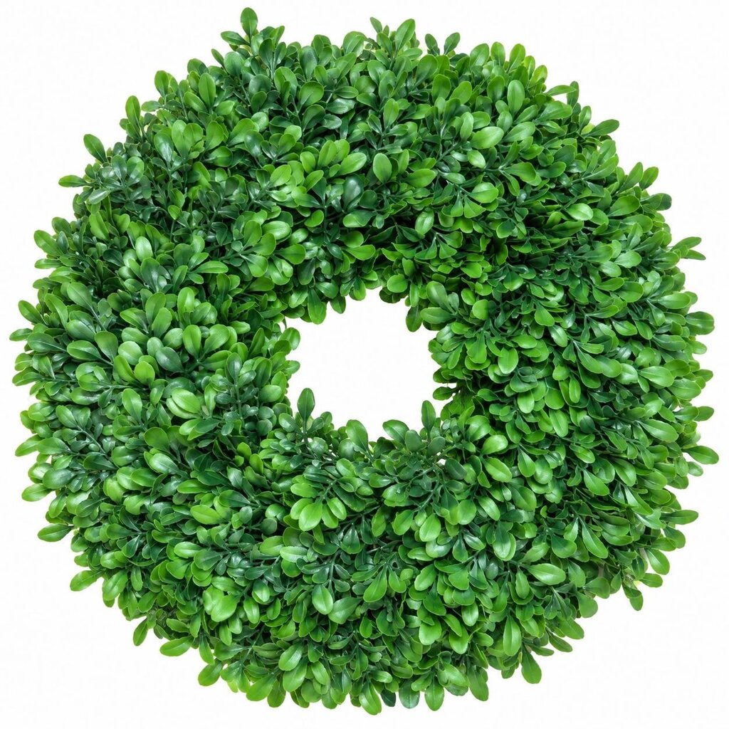 BOXWOOD WREATH 16"