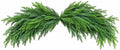 NORFOLK PINE CRESENT SWAG 48"