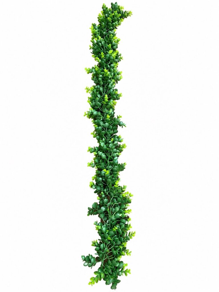 EUCALPTUS GARDLAND 65"