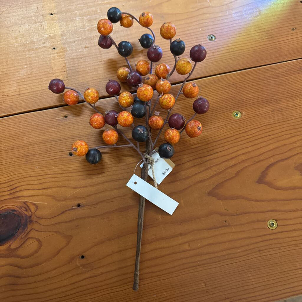 MULTI COLOR FALL BERRY PICK