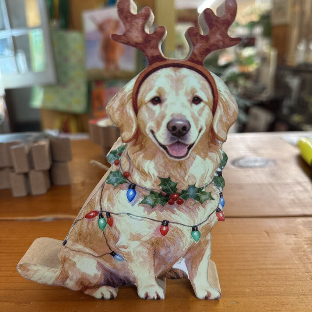LAB CHRISTMAS SITTER