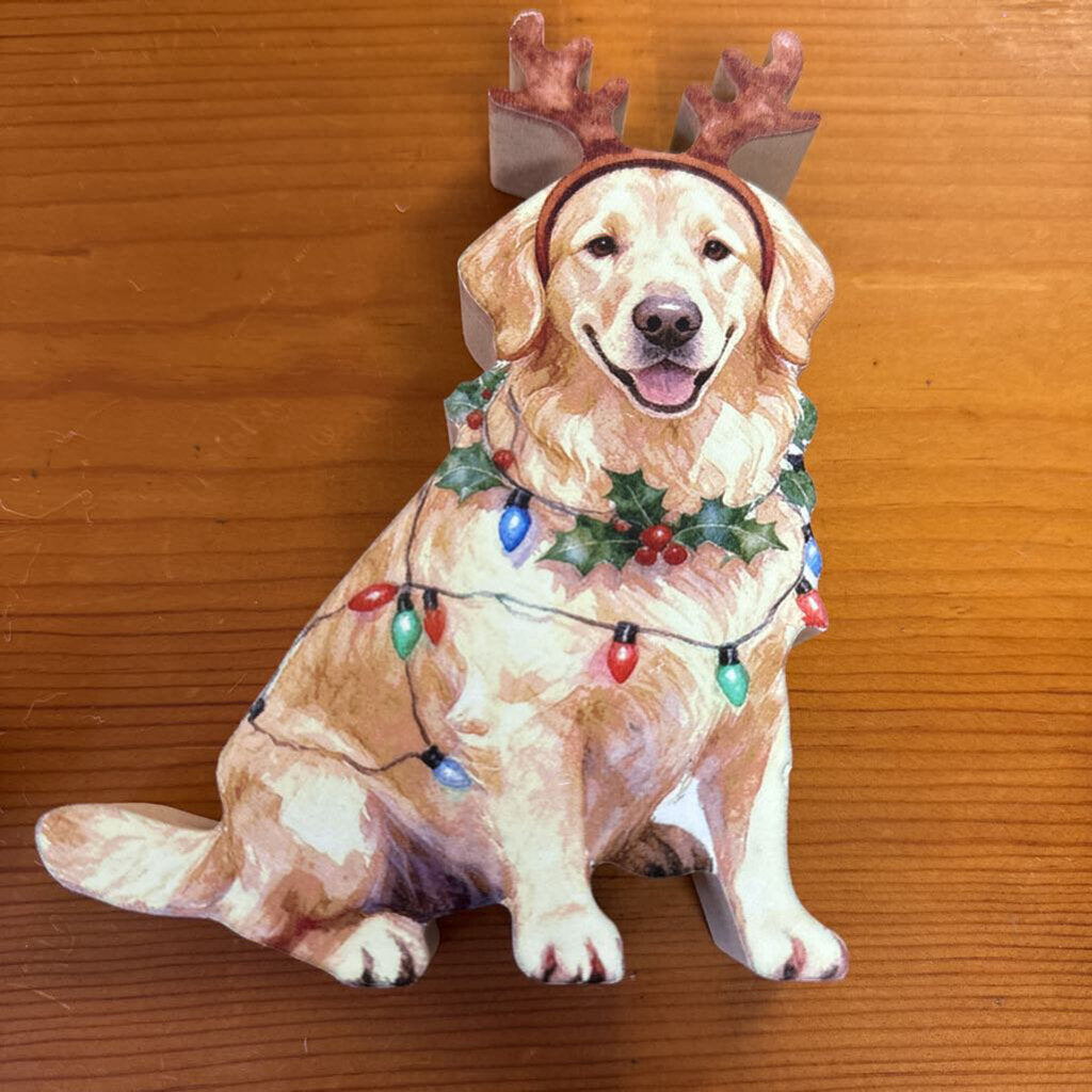 LAB CHRISTMAS SITTER