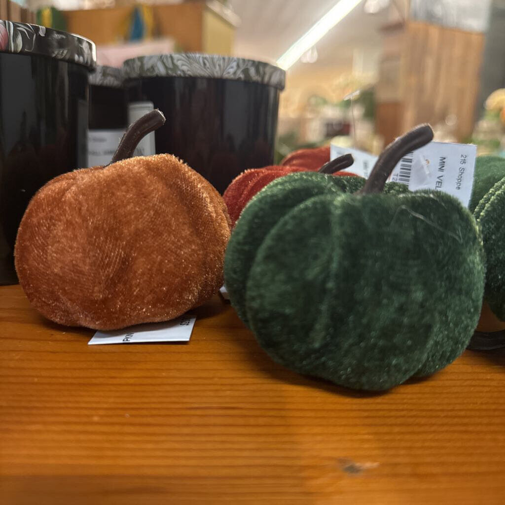 MINI VELVET PUMPKIN