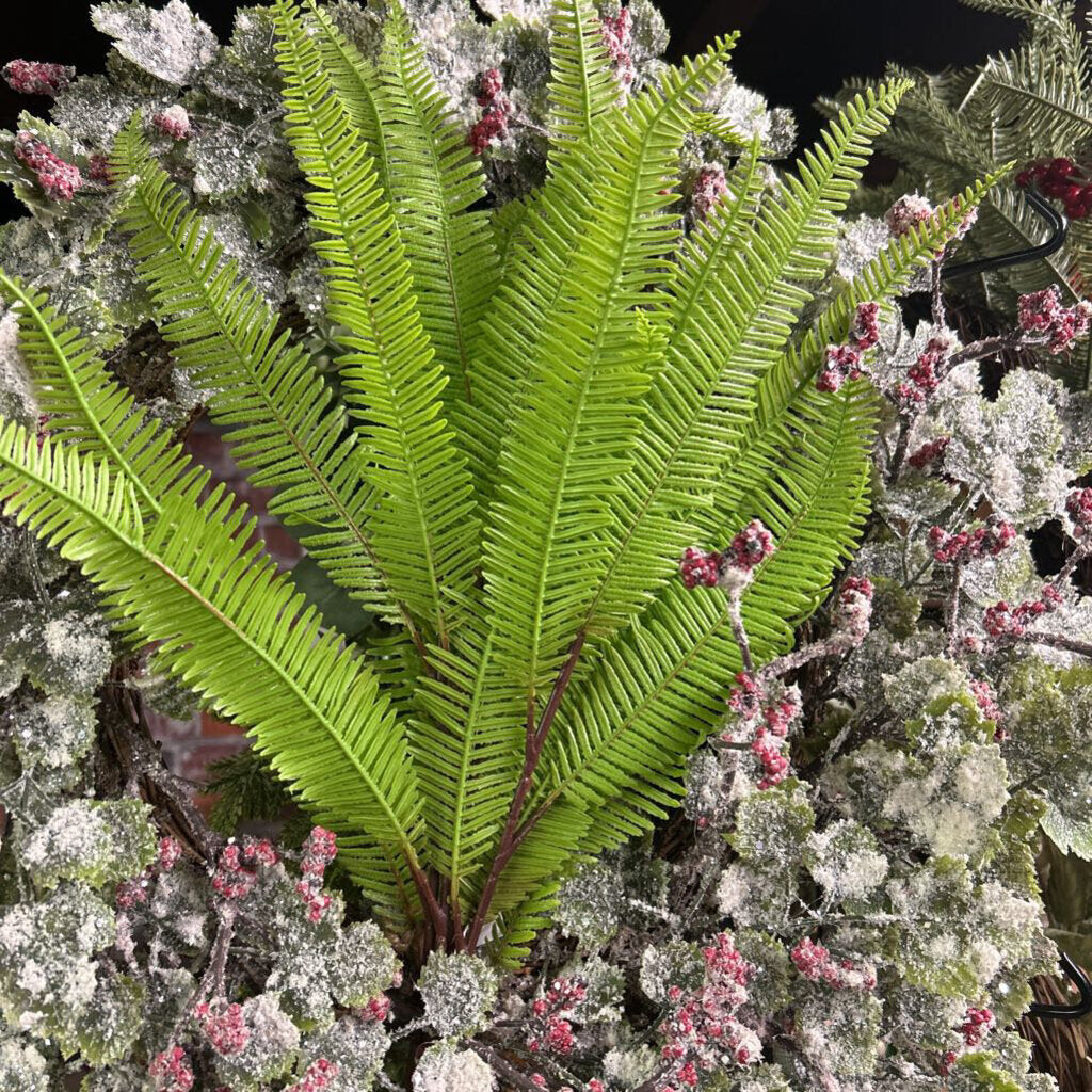 FERN PICK