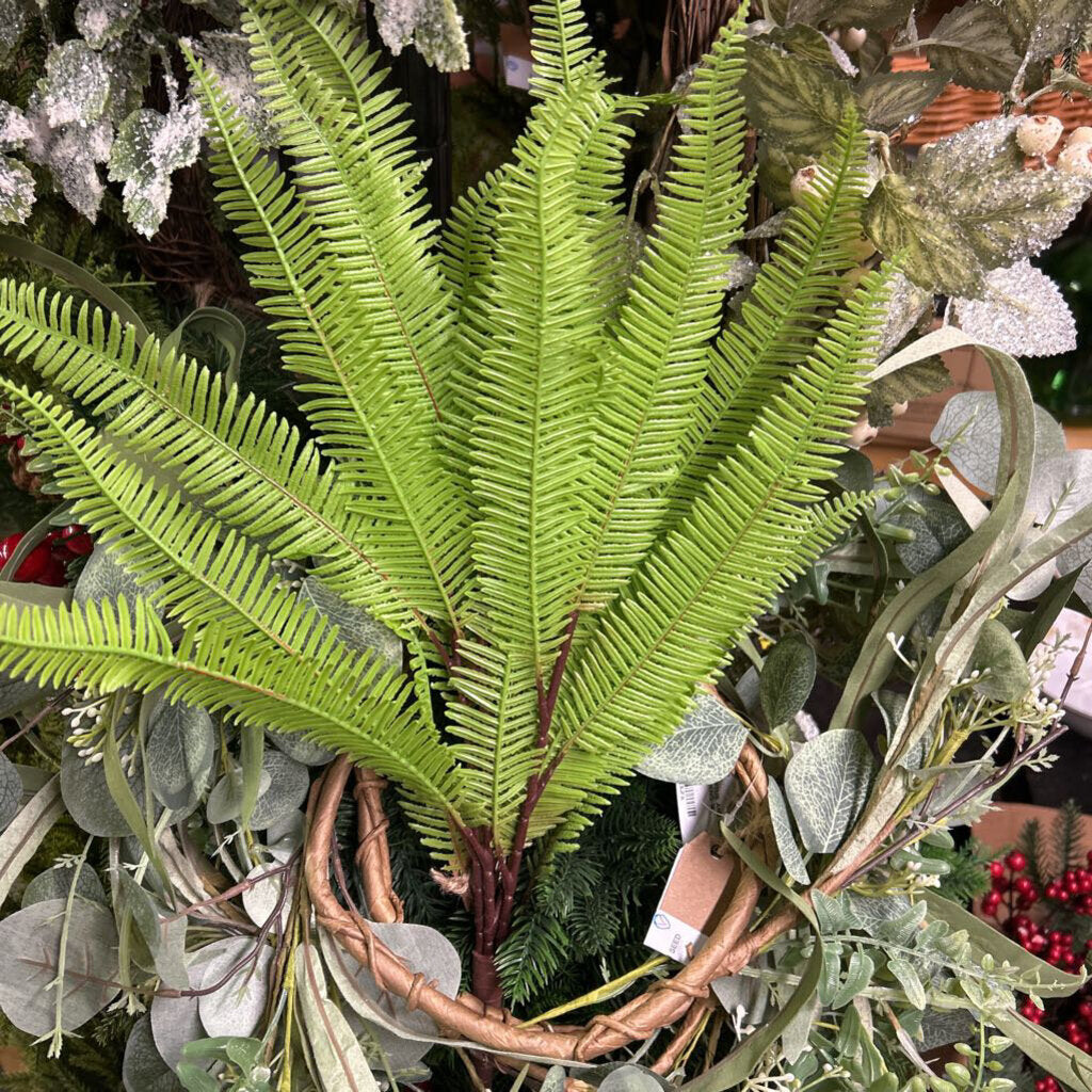 FERN PICK