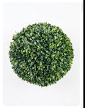 BOXWOOD BALL 12"