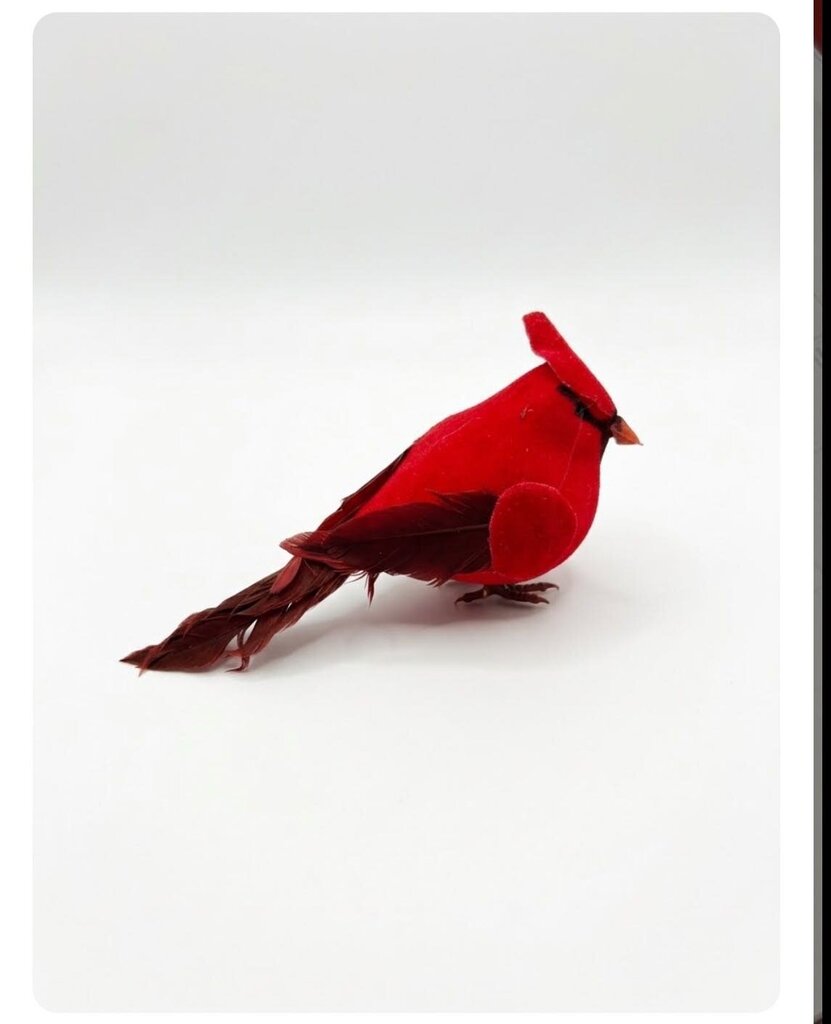 CARDINAL