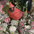 SM RESIN CARDINAL 4"