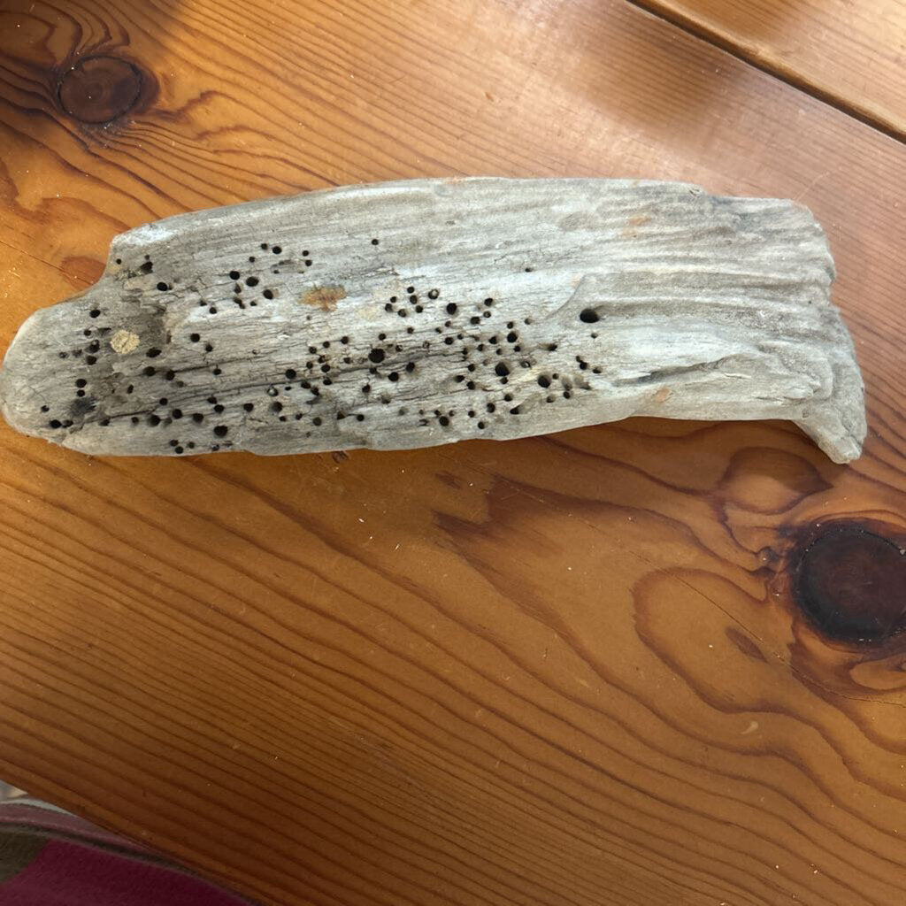 DRIFT WOOD SMALL
