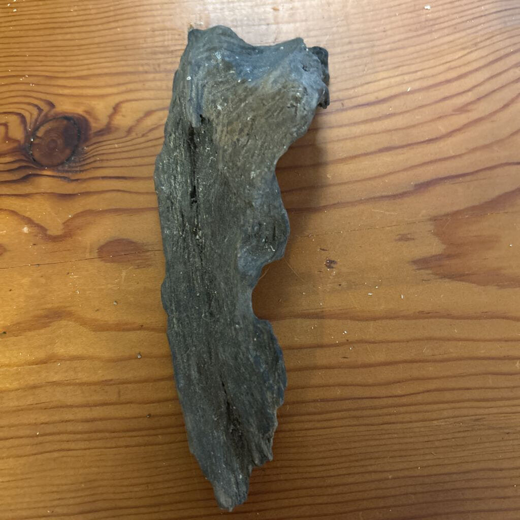 DRIFT WOOD