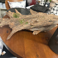 DRIFT WOOD