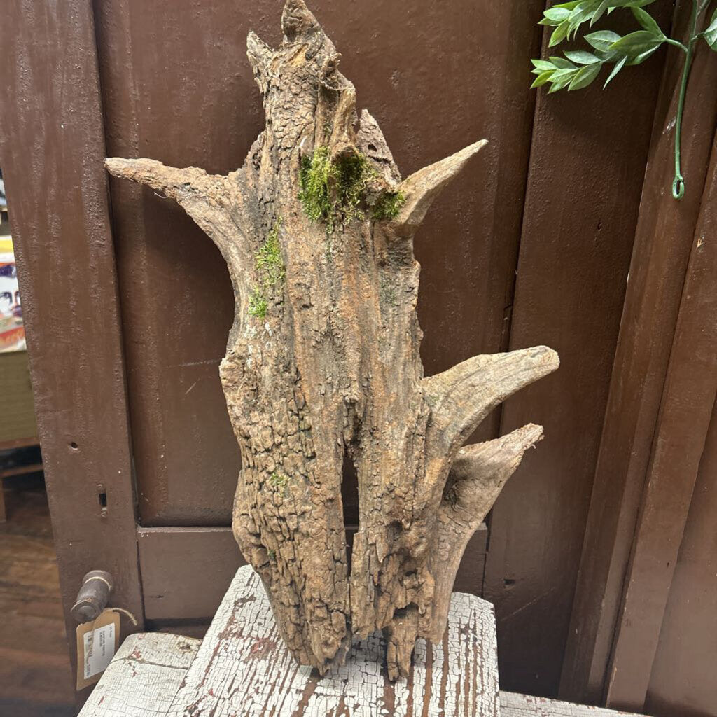 DRIFT WOOD