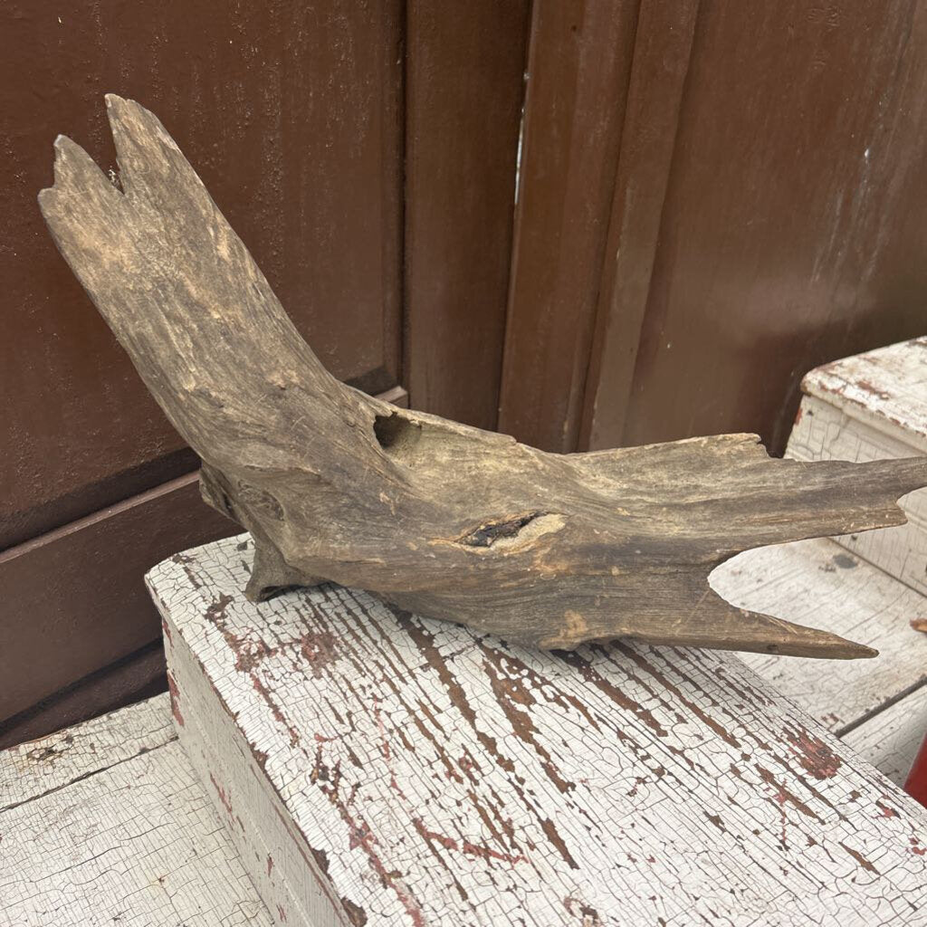 DRIFT WOOD