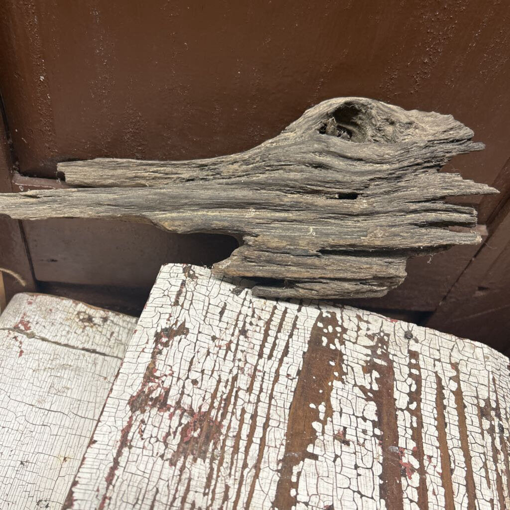 DRIFT WOOD