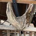 DRIFT WOOD