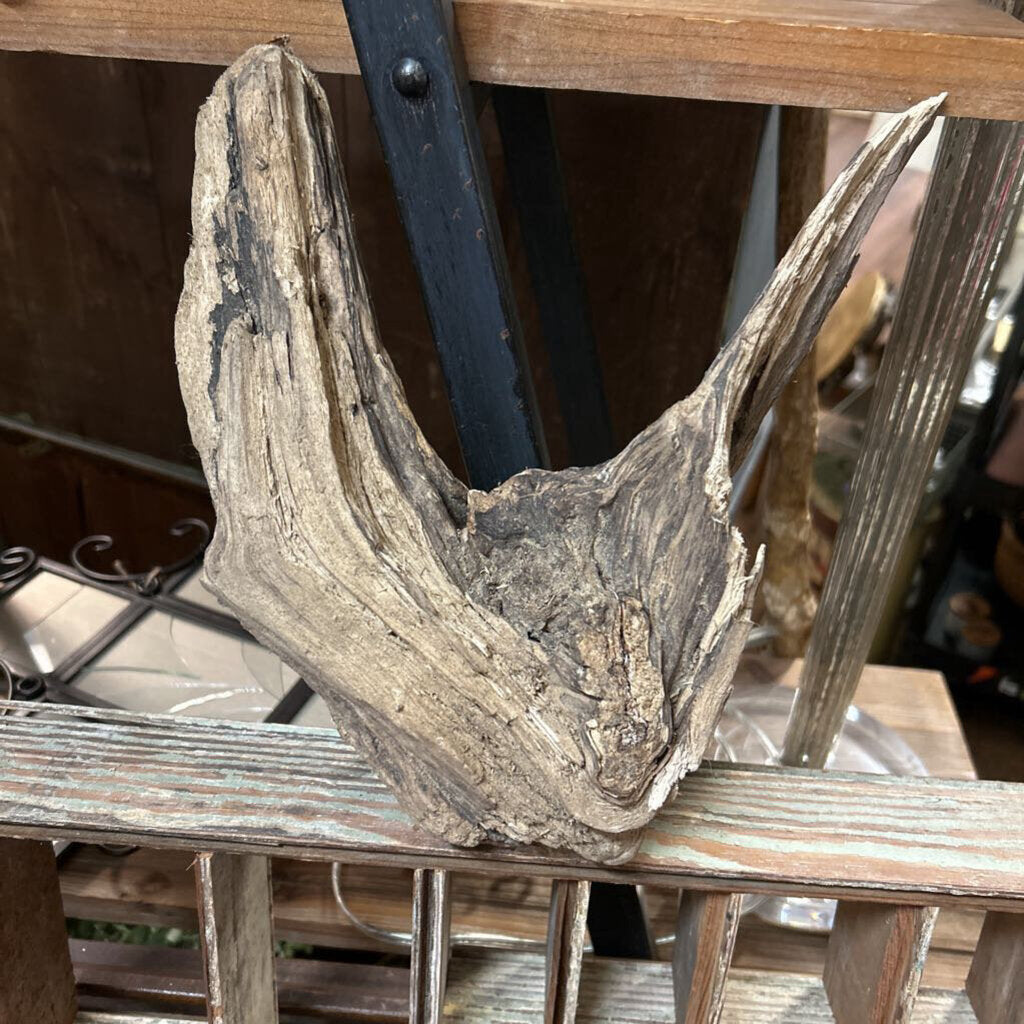 DRIFT WOOD