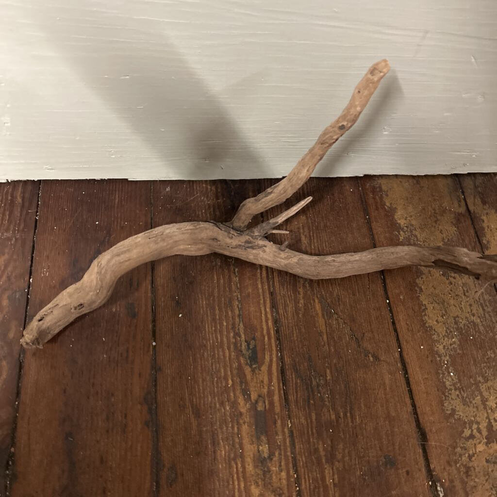 DRIFT WOOD