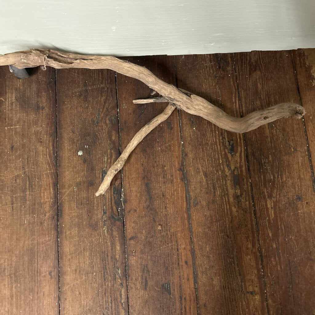 DRIFT WOOD
